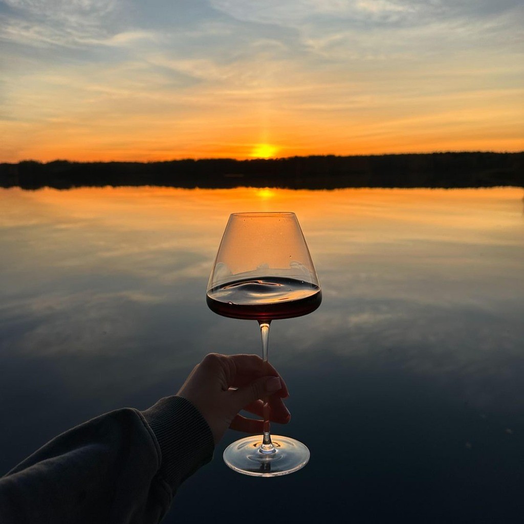 Vier het leven