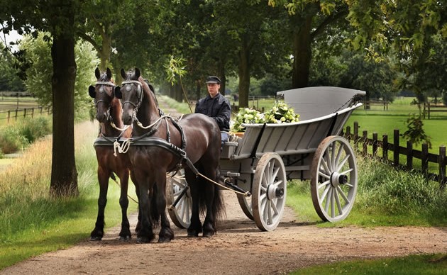 Koets met paarden